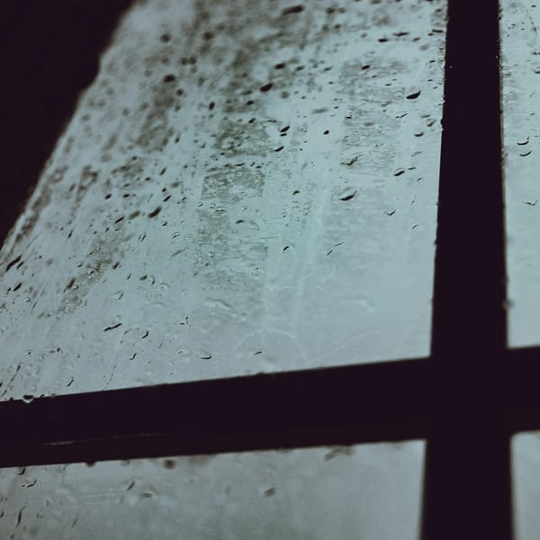 Joy Doesn't Always Laugh